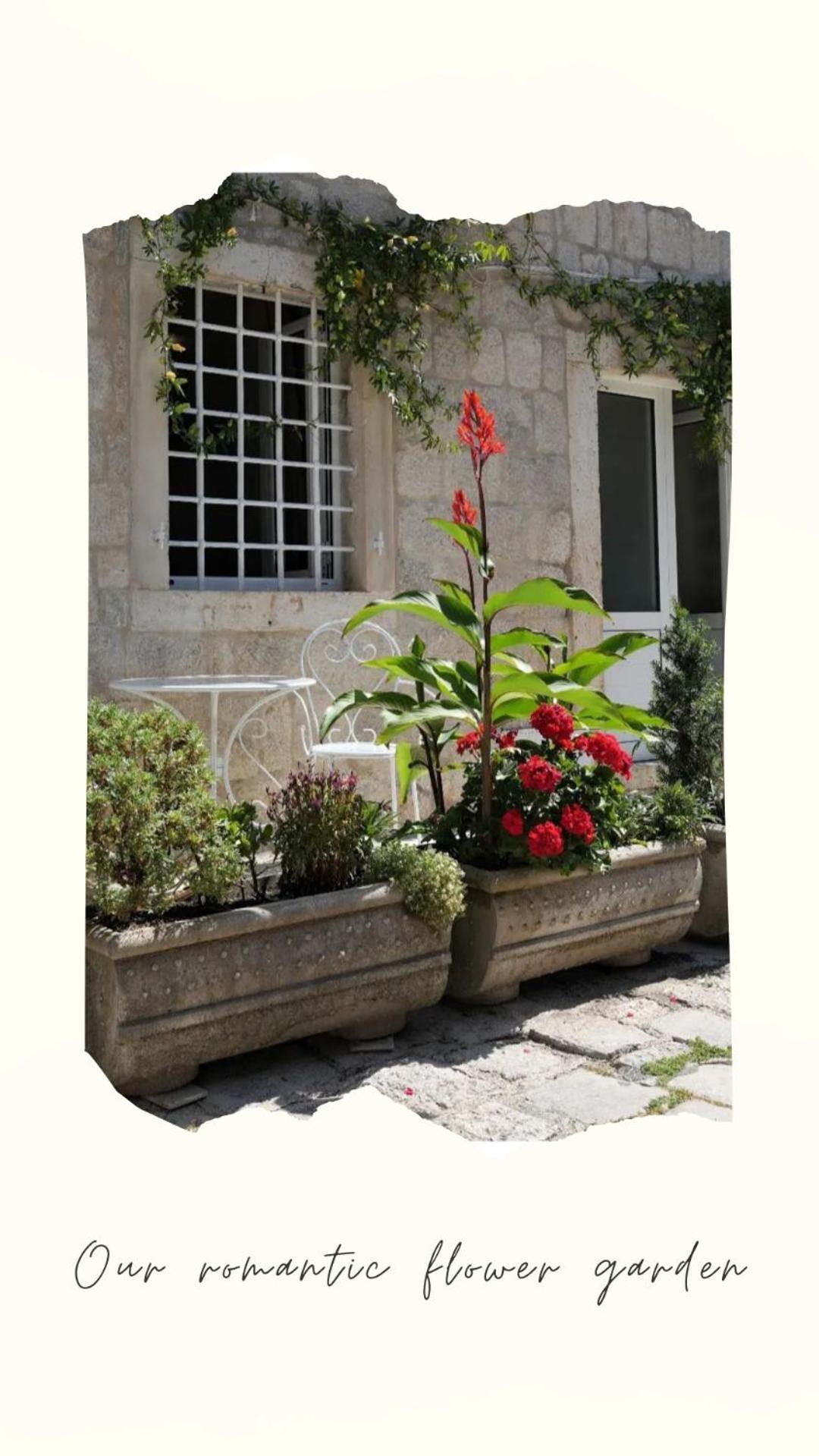 Apartments Visit Perast Extérieur photo
