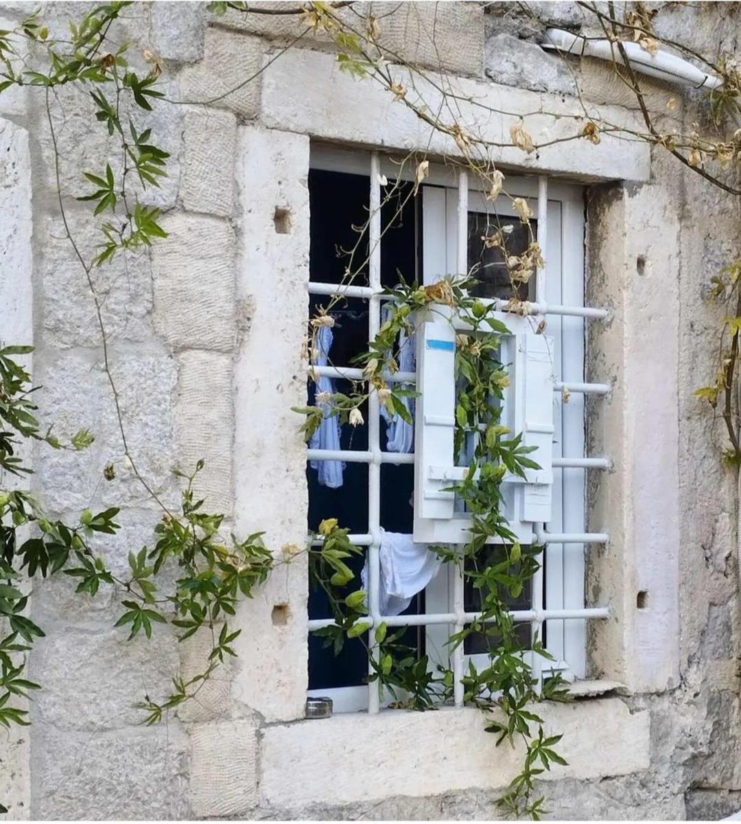 Apartments Visit Perast Extérieur photo